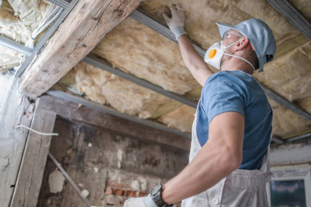 Best Fiberglass Insulation  in Lackland Af, TX