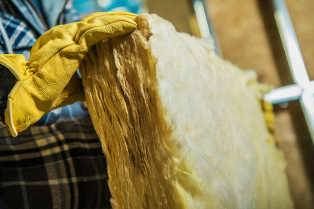 Best Blown-in Insulation  in Lackland Af, TX