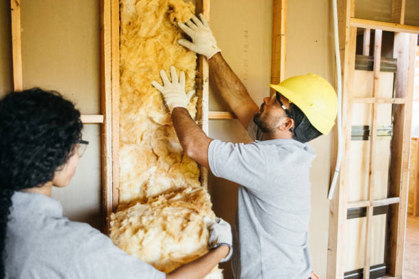 Best Insulation Replacement Services  in Lackland Af, TX