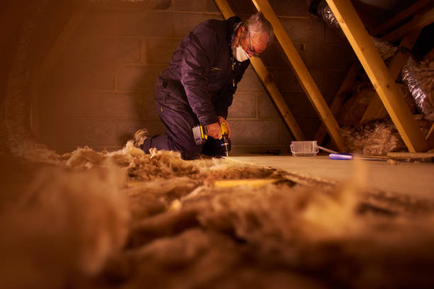 Best Insulation Inspection Services  in Lackland Af, TX